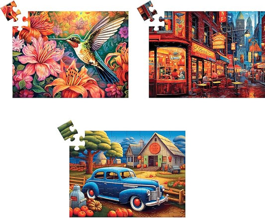 3 Pack 48 Large Piece Puzzle for Seniors Puzzles Dementia Alzheimer's Products and Activities for Elderly Large Piece Puzzles Alzheimer's Easy Puzzles Gift Memory Games for Patients, 3 Storage Bag