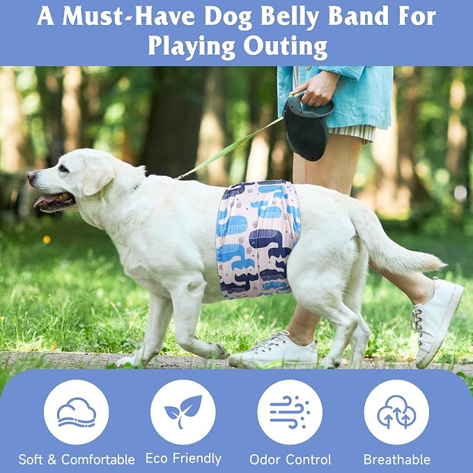 5 Pack Dog Diapers Male Reusable, Premium Belly Bands for Dogs, High Absorbing Male Dog Pee Wraps for Doggie in Incontinence or Excitable Urination,Squirrel L