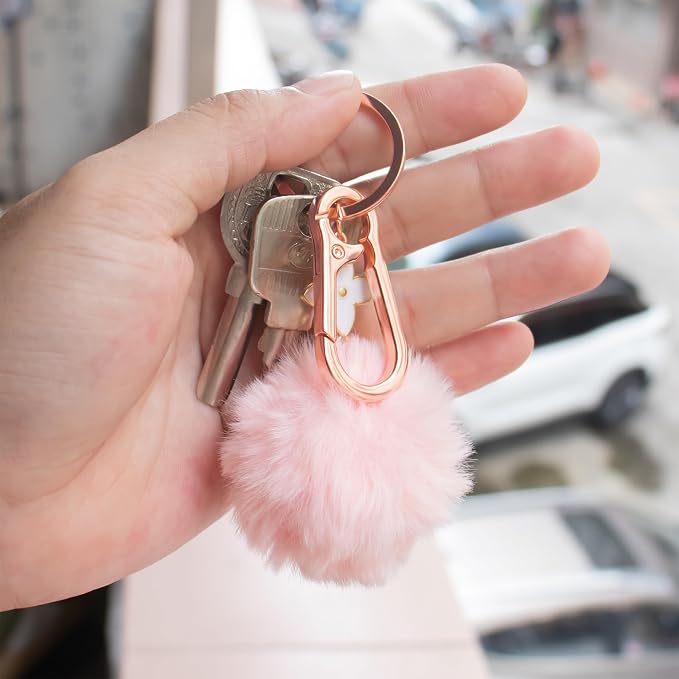 Wikavanli Metal Keychains Keyring Key Chain Ring Clip Holder Organizer for Home Car Keys Key Finder Women Men
