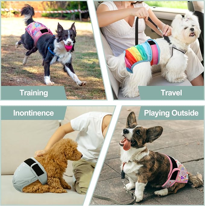 Female Dog Diapers 5Pcs - Premium Reusable Diapers for Doggie in Heat - Highly Absorbent Dog Diapers Female for Pet Incontinence with Adjustable Snaps,Rainbow,S