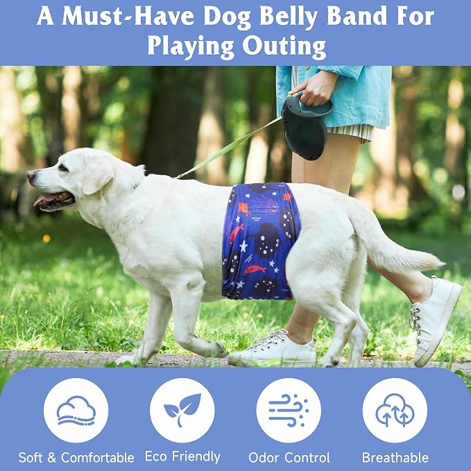 5 Pack Dog Diapers Male Reusable, Premium Belly Bands for Dogs, High Absorbing Male Dog Pee Wraps for Doggie in Incontinence or Excitable Urination Dinosaur M