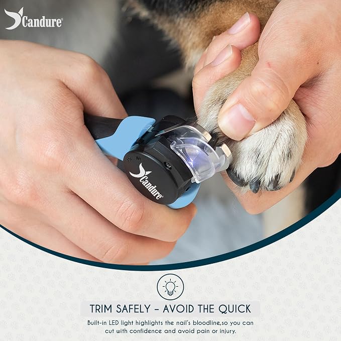 Candure LED Dog Nail Clippers with Light - Pet Nail Clippers with Light for Dogs & Cats, Sharp Stainless Steel Blades for Thick Nails, Safe Grooming Trimmer with Nail File (Sky Blue) | Includes Nail File, Small to Large Breeds, Avoids Over-Cutting, Pro...