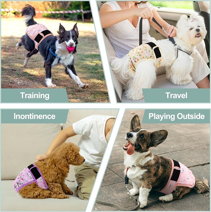 Female Dog Diapers - Premium Reusable Diapers for Doggie in Heat - Highly Absorbent Dog Diapers Female for Pet Incontinence with Adjustable Snaps Flowers, XXL