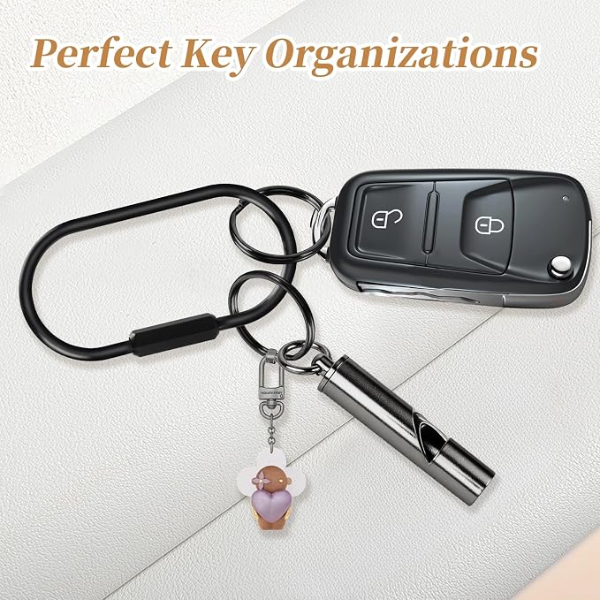 Muitcdo Brass Key Rings Bulk, Key Chain Organizer Holder for Men Women with Secure Screw Locking