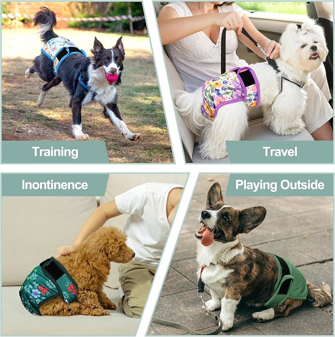 Female Dog Diapers 5Pcs - Premium Reusable Diapers for Doggie in Heat - Highly Absorbent Dog Diapers Female for Pet Incontinence with Adjustable Snaps, Green, XXL