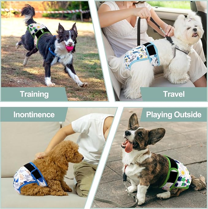 Washable Female Dog Diapers - Premium Reusable Diapers for Doggie in Heat - Highly Absorbent Dog Diapers Female for Pet Incontinence with Adjustable Snaps (Cactus，S)