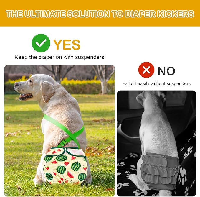 Avont 3 Pack Washable Female Dog Diaper with Suspender - M | Reusable Girl Doggie Diapers for Small Medium Large Dog in Heat Cycle Period Incontinence (Lemon/Dragon Fruit/Watermelon)