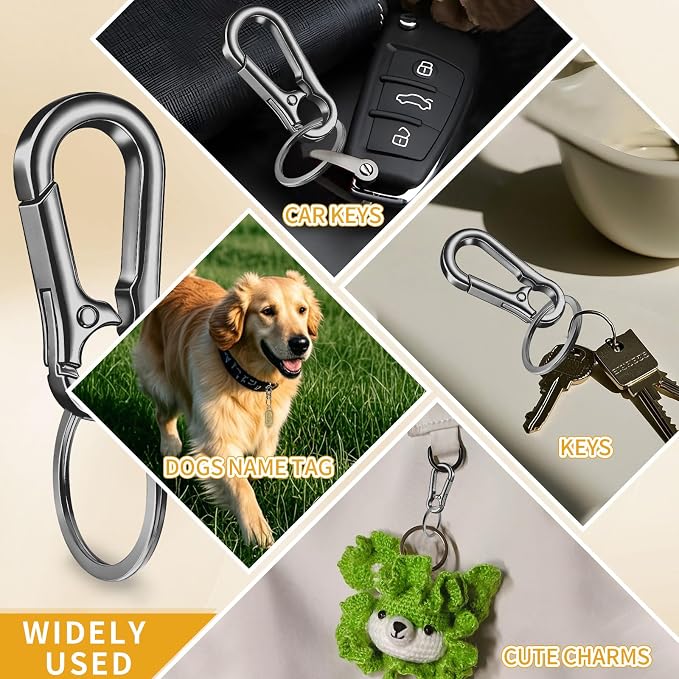 4 Pack Keychain, Metal Key Chain, Sturdy Key Ring, Key Rings Key Organizer Keychain Clip Key Chains for Men Women
