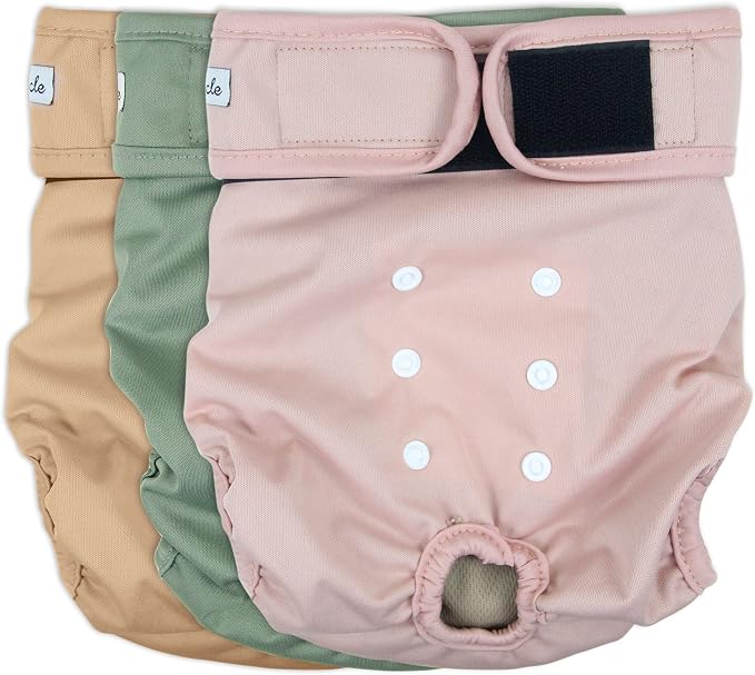 Washable Female Dog Diapers - Premium Reusable Diapers for Doggie in Heat - Highly Absorbent Dog Diapers Female for Pet Incontinence with Adjustable Snaps (Pink, M)