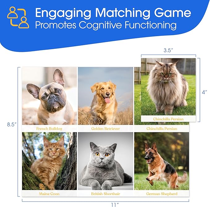 Keeping Busy Match The Photos with Fun Facts | Set 2 | Dementia Activities for Seniors | Dementia Products for Elderly Alzheimers Products for Elderly Memory Games for Seniors Memory Games for Adults