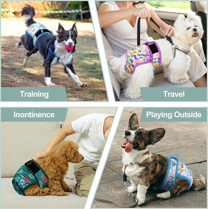 Dog Diapers Female- Reusable Diapers for Doggie in Heat - Highly Absorbent for Pet Incontinence with Adjustable Snaps Green, M