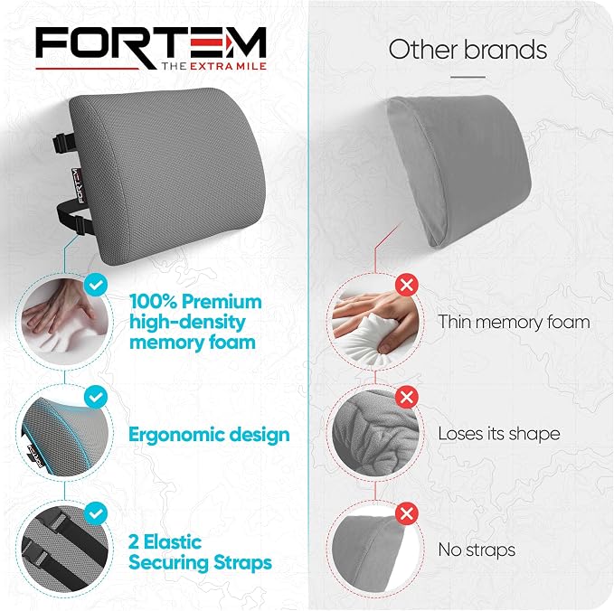 FORTEM Lumbar Support Pillow for Office Chair, Lumbar Support Pillow for Car, Back Rest for Gaming, Memory Foam Pillow, Desk Chair Cushion, Breathable & Washable Cover, Adjustable Straps