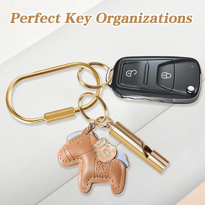 Muitcdo Brass Key Rings Bulk, Key Chain Organizer Holder for Men Women with Secure Screw Locking