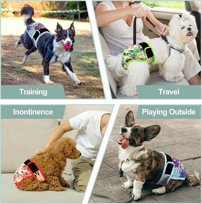 Washable Female Dog Diapers - Premium Reusable Diapers for Doggie in Heat - Highly Absorbent Dog Diapers Female for Pet Incontinence with Adjustable Snaps (Succulents, XL)