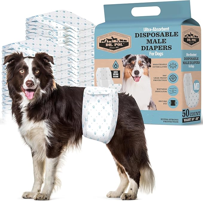 Dr. Pol Male Dog Diapers, Belly Bands, Medium (18–25" Waist), 50 Count