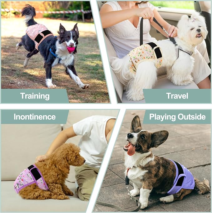Female Dog Diapers 5Pcs - Premium Reusable Diapers for Doggie in Heat - Highly Absorbent Dog Diapers Female for Pet Incontinence with Adjustable Snaps, Flowers, XXL