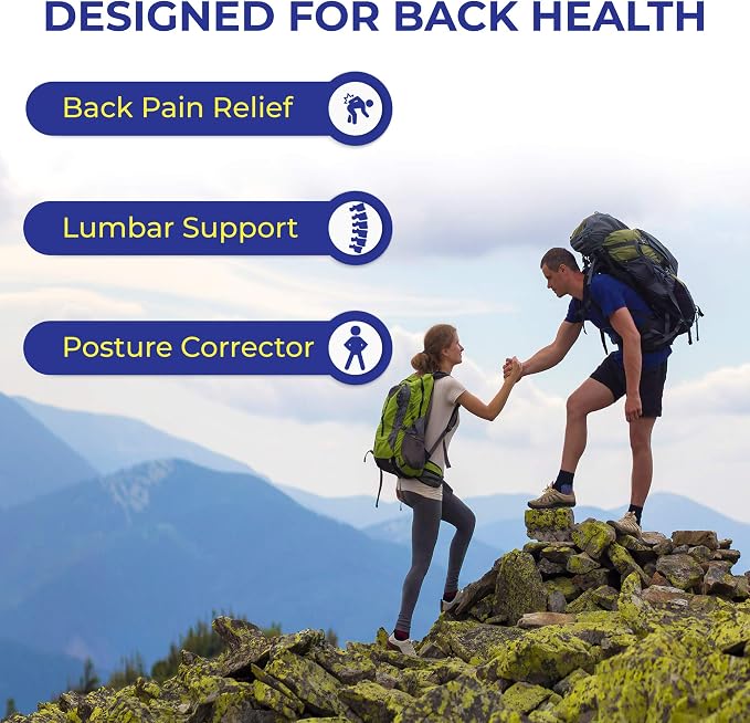 Nada-Chair Back-Up with CushShins Back Support and Posture Corrector Turns to Convertible Pouch Bag (Navy)