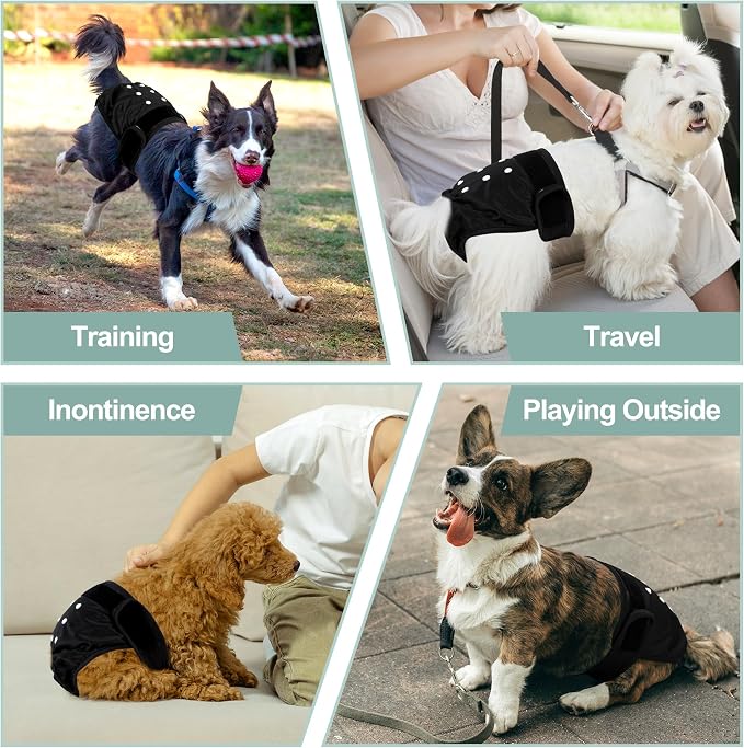 Washable Female Dog Diapers - Premium Reusable Diapers for Doggie in Heat - Highly Absorbent Dog Diapers Female for Pet Incontinence with Adjustable Snaps(Black, L)