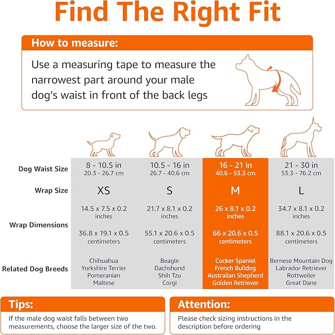 Amazon Basics Male Dog Diapers, Super Absorbent Disposable Wrap with Leak-Proof Protection, Wetness Indicator, Secure Fit, Breathable, Medium, 50 Count