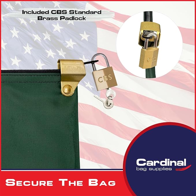 Medication Security Bag with Padlock, Forest Green | Zipper Hood, Includes 2 Keys, Small Pill Bag, Travel Carry Pouch, Medicine Storage, Made in USA