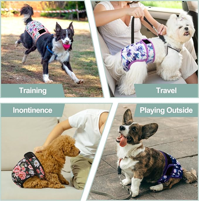 Dog Diapers Female - Reusable Diapers for Doggie in Heat - Highly Absorbent Female Dog Diapers for Pet Incontinence(Pack of 5), Flowers,M