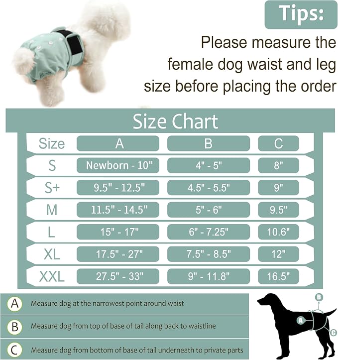 Washable Female Dog Diapers (5 Pack) - Doggie Reusable Small Medium Large Dog Diapers for Doggy Puppy Female in Period - Highly Absorbent Dog Heat Panties,S Plus,Flowers