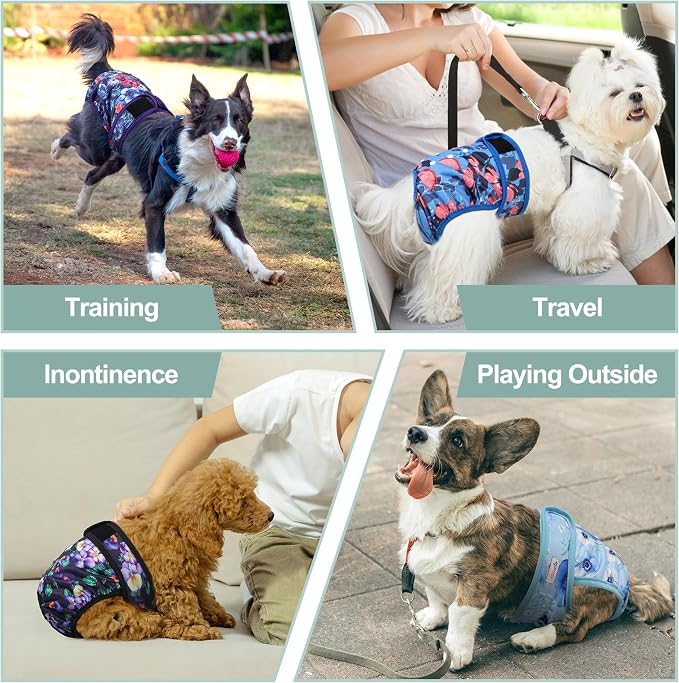 Female Dog Diapers 5Pcs - Premium Reusable Diapers for Doggie in Heat - Highly Absorbent Dog Diapers Female for Pet Incontinence with Adjustable Snaps, Rose, M