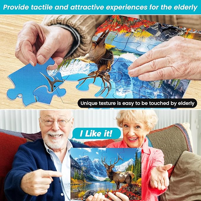 6 Packs 16 Large Piece Puzzle for Seniors, Alzheimer Dementia Puzzles for Elderly Adults, Dementia Alzheimer's Products Activities Memory Cognitive Games Jigsaw Puzzles with 6 Storage Bags