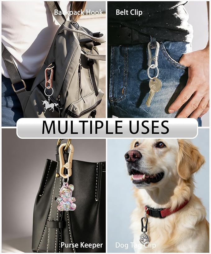 Metal Key Chain Carabiner Clip with Key Ring and D Ring | Heavy duty build, full accessory packs, quick release, multi purpose hook, belt loop holder, separate home and car fob sets