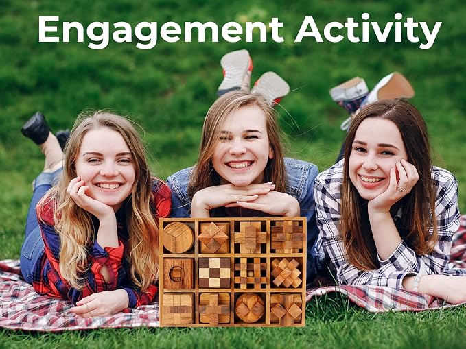 BSIRI 12 in 1 3D Wood Puzzle Box Set - Wooden Brain Teaser Puzzles for Adults Interlocking Toys Games for IQ and Mind Ideal for Patio Decor Desk Office and Unique Gift Hand Game (12 Games)