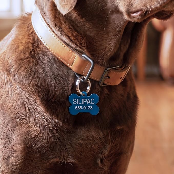 Heavy Duty Dog Tag & Key Rings 30mm 10 Pack – Nickel-Plated Iron Split Rings for Pet ID, Keys, Crafts & Lanyards