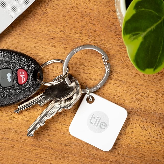 Nite Ize O-Series Gated Key Ring, Stainless Steel Split Ring Alternative, 2 Count (Pack of 2)