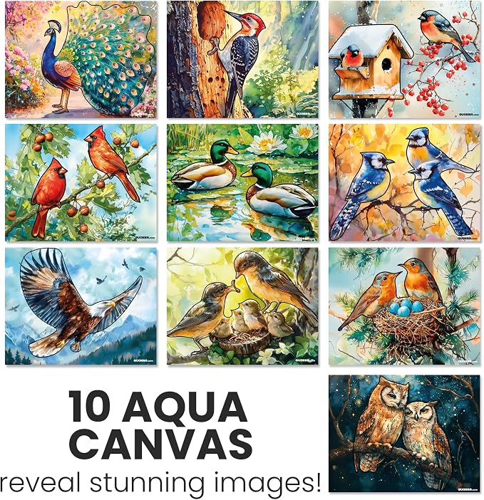 QUOKKA Water Painting Dementia Activities for Seniors – Alzheimer’s Products for Elderly – Reusable Water Doodle Set Songbird Serenity – Activity Kits for Dementia Patients – Crafts for Seniors