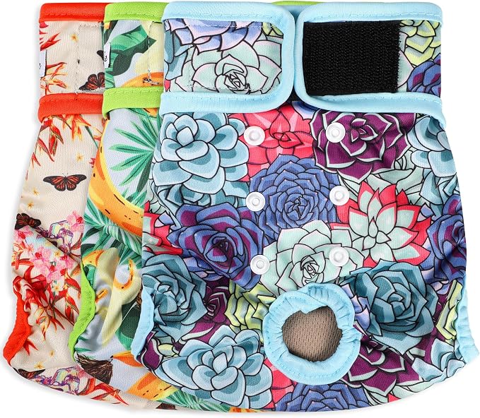 Washable Female Dog Diapers - Premium Reusable Diapers for Doggie in Heat - Highly Absorbent Dog Diapers Female for Pet Incontinence with Adjustable Snaps (Succulents, L)