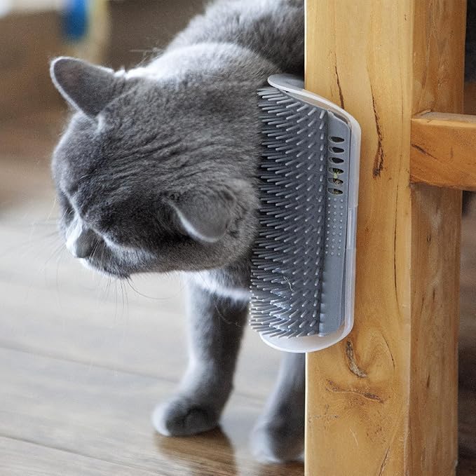 Miwoowim Extended (6.1") 2 Pack Self Grooming Cat Brush - Wall Corner Scratcher with Massage Combs for Long and Short Fur Cats, Kittens (Grey) | Soft bristles .Durable, Scratcher & Massage comb for long/short hair. Mounts on walls or furniture corners....