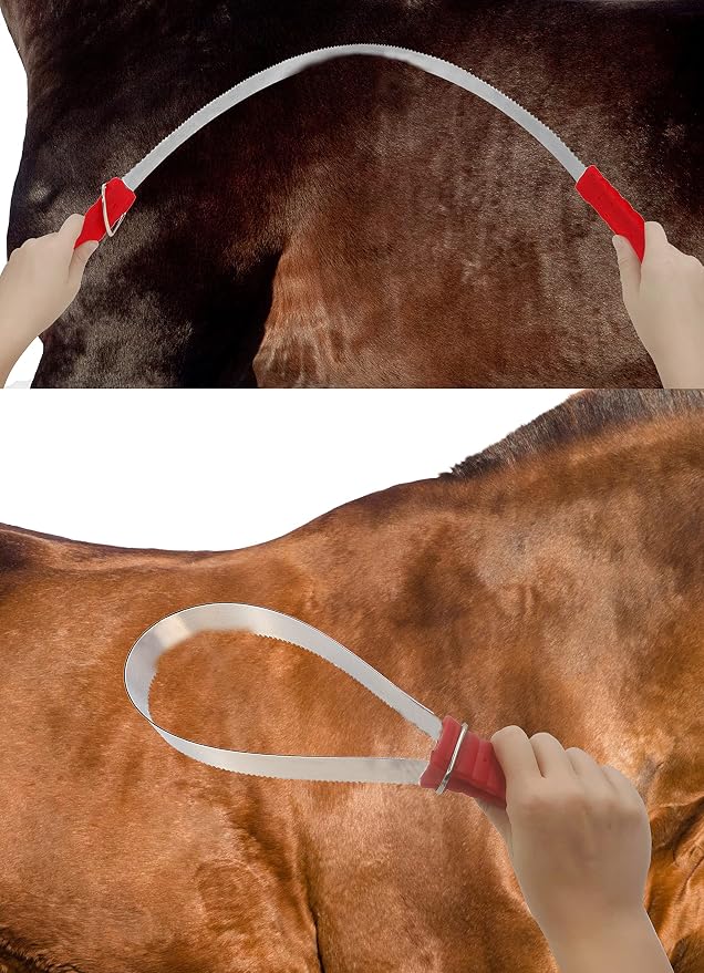 Shedding Blade Horse Brush Scraper Stainless Steel Shed Blade for Dogs (one loop)