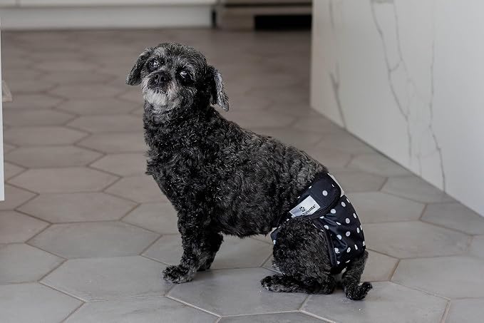 Pet Parents® Washable Dog Diapers (3pack) + Extendrs® of Durable Doggie Diapers, Premium Dog Diapers Female (Small, Luxe)