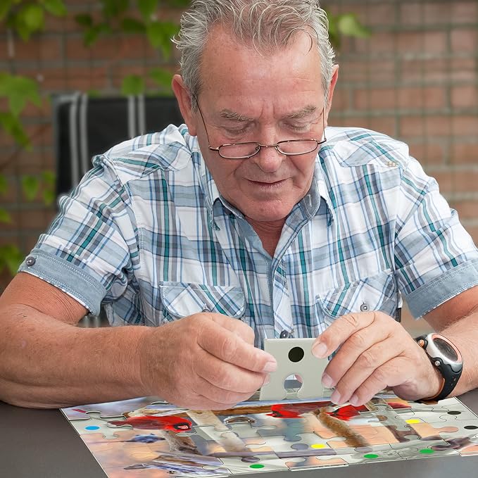 Keeping Busy Birdfeeder Dementia Puzzles Activities for Seniors | Alzheimer Products for Elderly Patients | Fun Memory Game Toy & Cognitive Brain for Senior Citizens w/Memory Loss or Alzheimers 35 PC