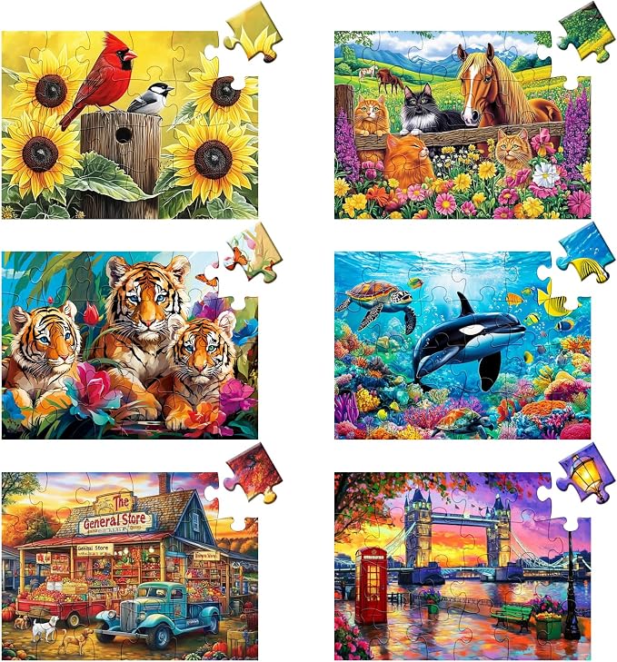 6 Packs 24 Large Piece Puzzle for Seniors,Dementia Alzheimer's Products Activities for Elderly Adults,Easy Puzzle Alzheimer’s Memory Cognitive Game Gift for Patient in Nursing Home with 6 Storage Bags