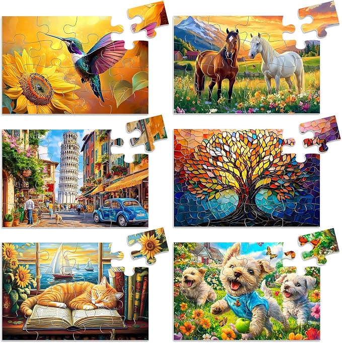 Biarek 6 Packs 16 Large Piece Puzzle for Seniors, Alzheimer's & Dementia Activities, Easy Puzzle, 6 Storage Bags