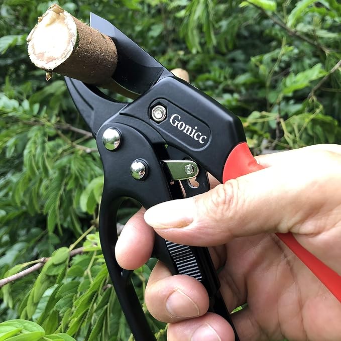 gonicc 8" Professional Ratchet Anvil Pruning Shears (GPPS-1011) | Ratcheting Mechanism, Anvil groove design, Reinforced Design Handle, Garden Shears Clippers, Hand Tools Scissors