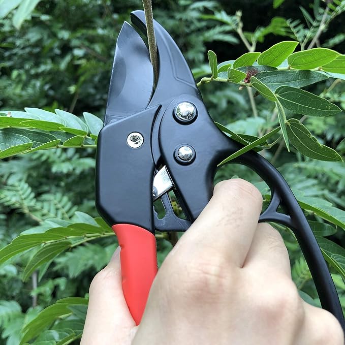 gonicc 8" Professional Ratchet Anvil Pruning Shears (GPPS-1011) | Ratcheting Mechanism, Anvil groove design, Reinforced Design Handle, Garden Shears Clippers, Hand Tools Scissors