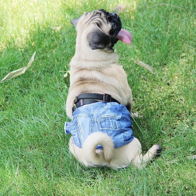 wegreeco Washable Male Dog Diapers (Pack of 3) - Washable Male Dog Belly Wrap (Jeans, XXL)