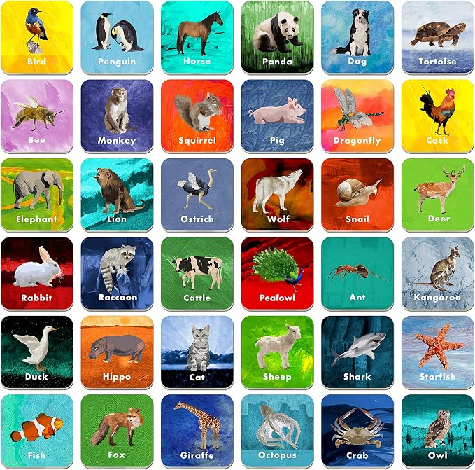 36 Pair Animal Matching Game Flash Cards Erasable (Each Measures 2” X 2”)