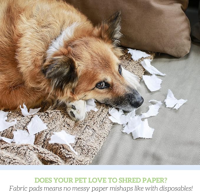 GREEN LIFESTYLE Washable Pee Pads for Dogs - Thick Heavy Absorbent Waterproof Pet Training Pads - Puppy Pads - for Puppy Playpen, Crate, Whelping Box, Potty Training (Pack of 2 - 18x24)